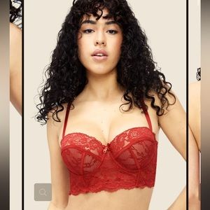 Frederick’s of Hollywood Desiree lace push up bra